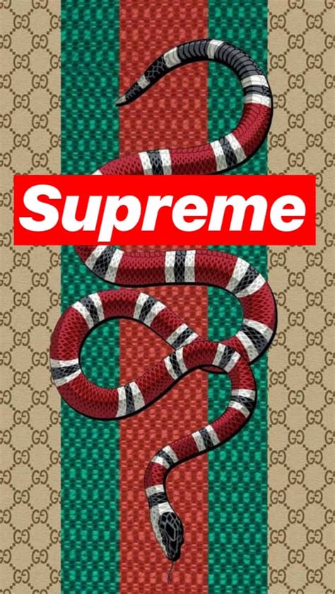 wallpaper supreme Gucci logo